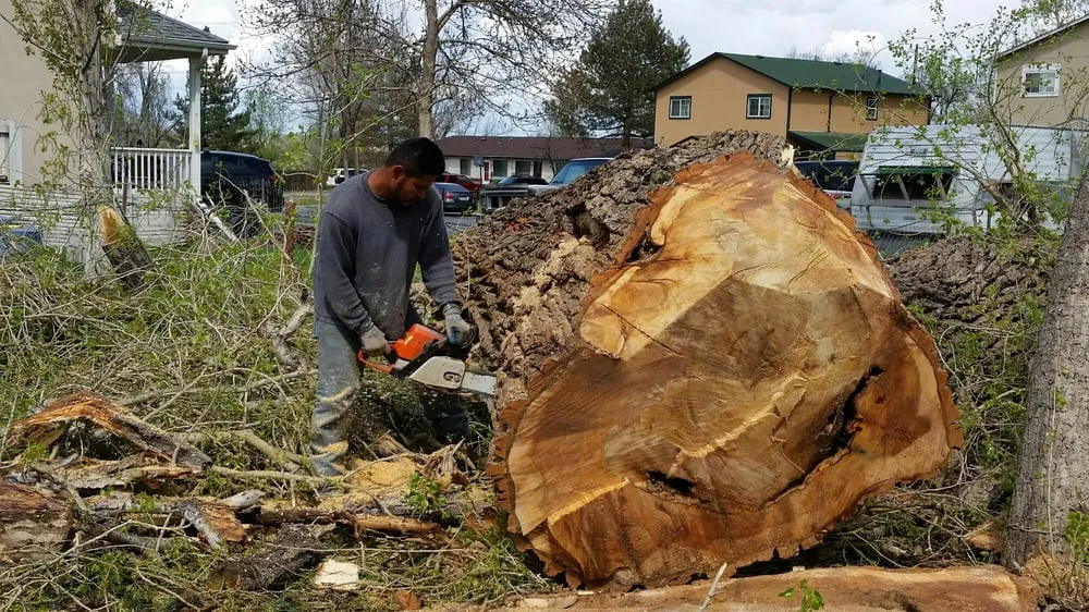 Affordable landscaping services in Westminster, CO - Cowboy Landscaping