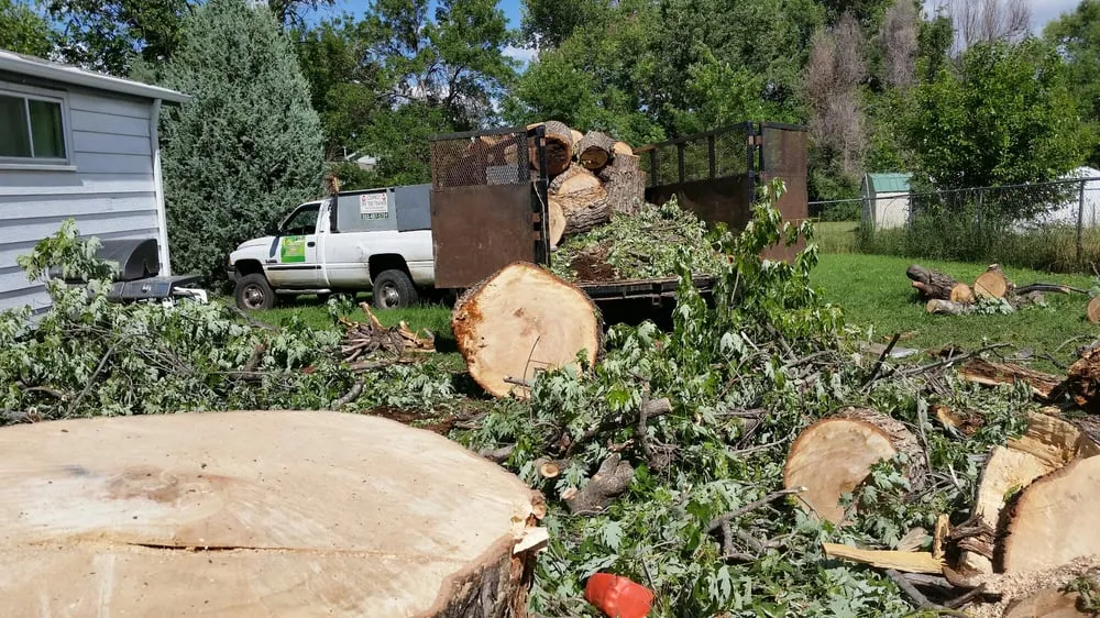 Expert yard cleanup service in Westminster, CO - Cowboy Landscaping