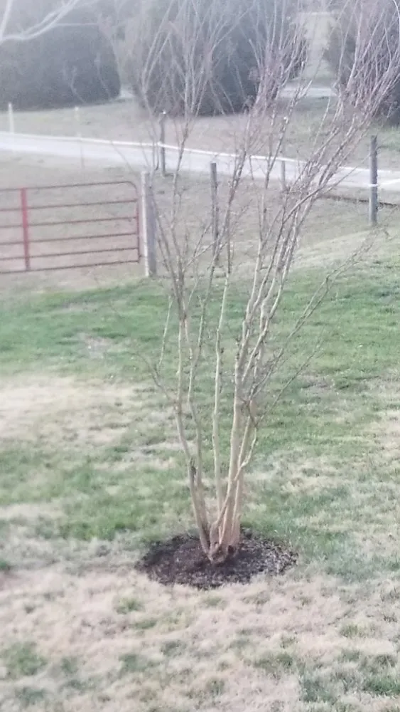 Professional garden landscaping experts serving South Hill, VA - Cowboy pasture landscaping