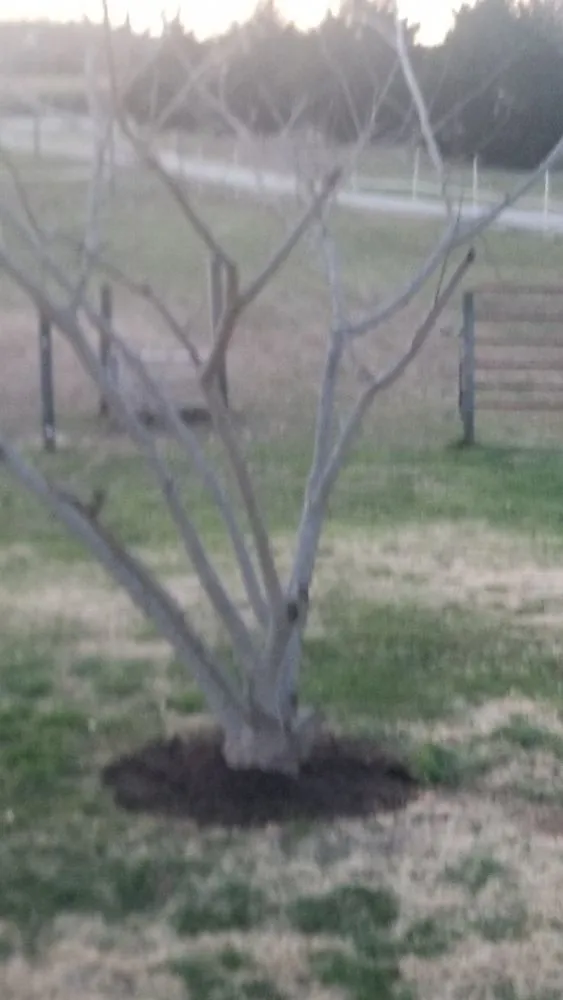 Custom lawn mowing service near you across South Hill, VA - Cowboy pasture landscaping