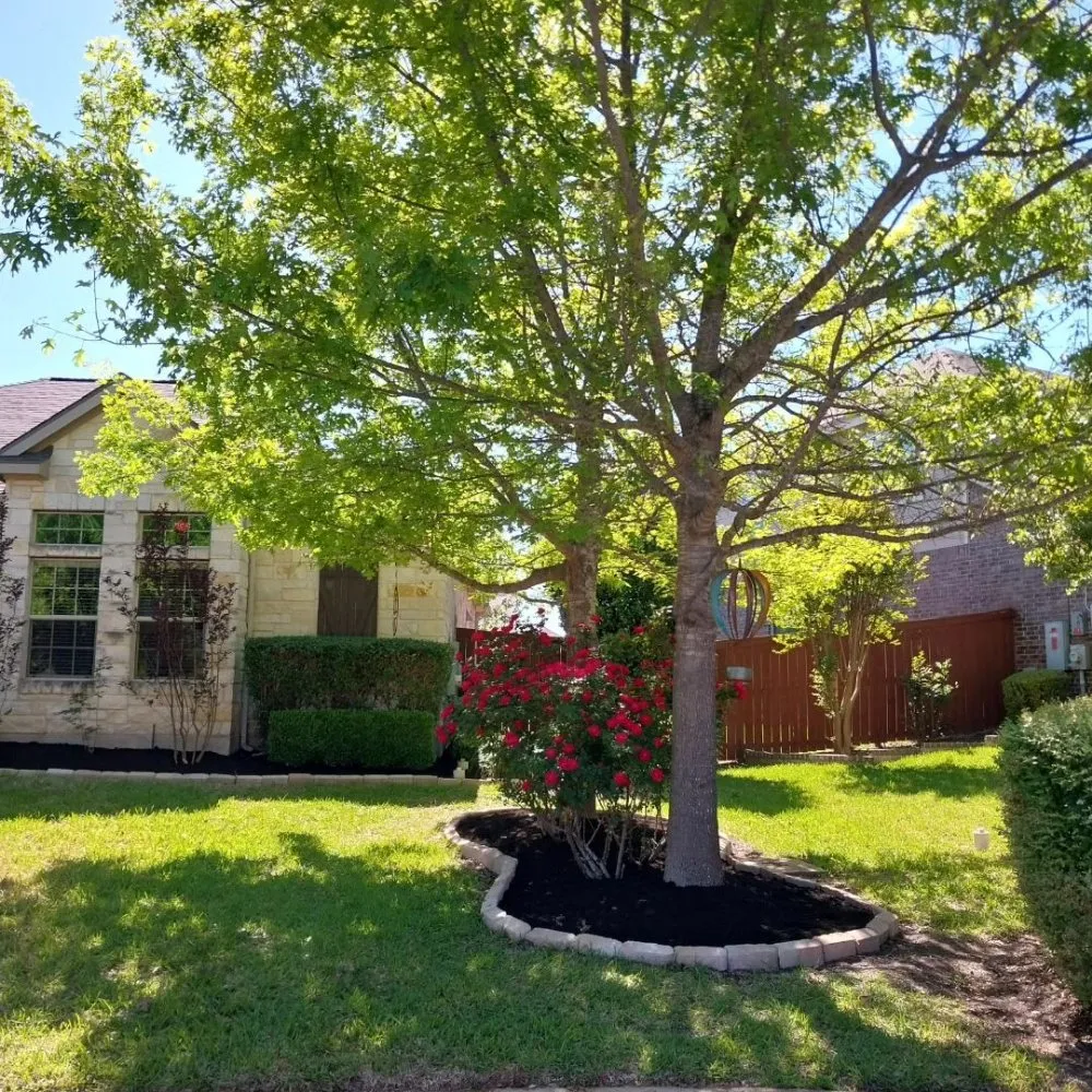 Professional lawn mowing service for homes across Austin, TX - Cowboy Tree Service ATX