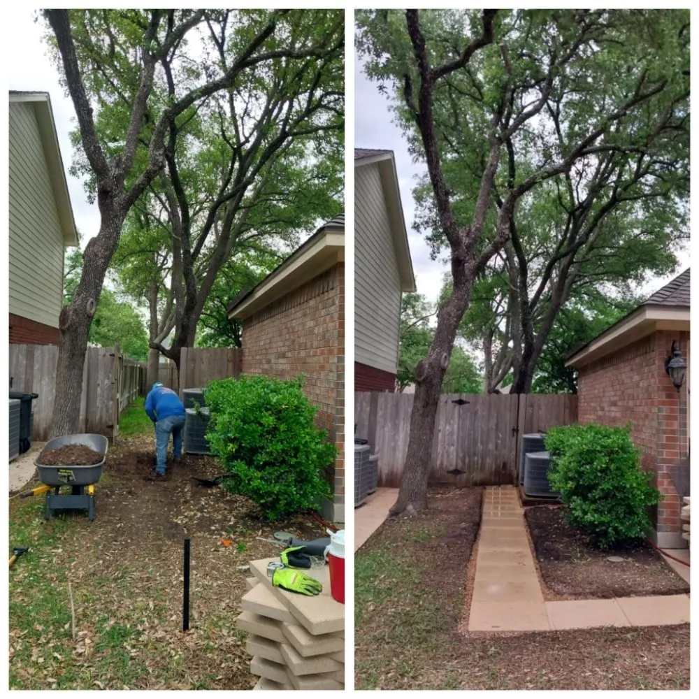 Reliable yard cleanup service experts serving Austin, TX - Cowboy Tree Service ATX