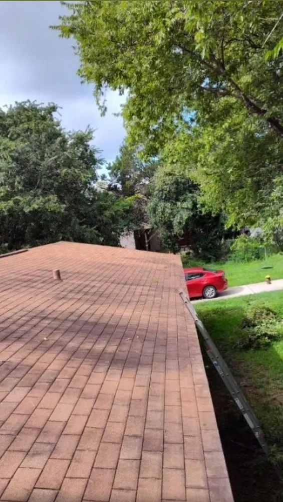 Professional yard cleanup service with custom design across Austin, TX - Cowboy Tree Service ATX