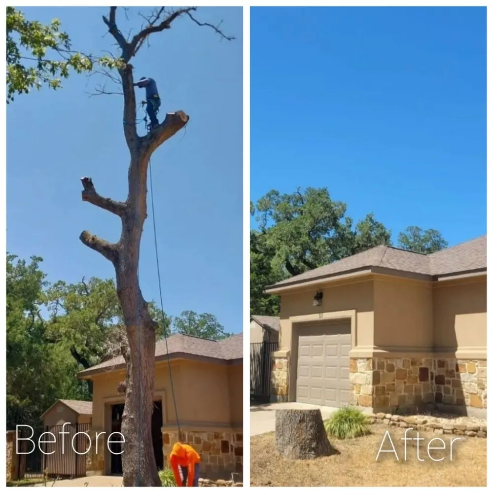 Affordable outdoor landscaping for residential properties across Austin, TX - Cowboy Tree Service ATX