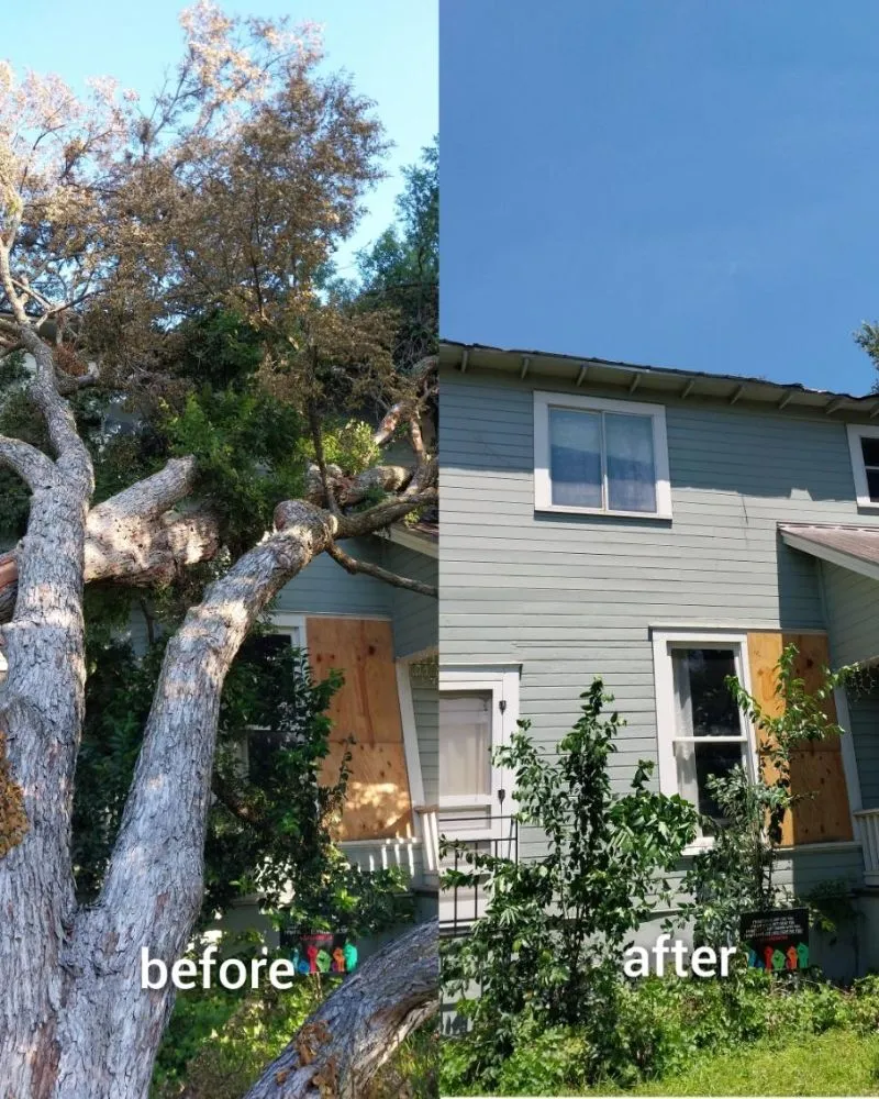 Custom lawn mowing service in Austin, TX - Cowboy Tree Service ATX