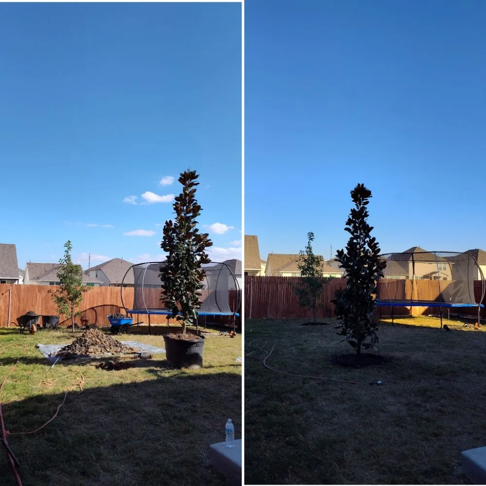 Expert landscaping services experts serving Austin, TX - Cowboy Tree Service ATX