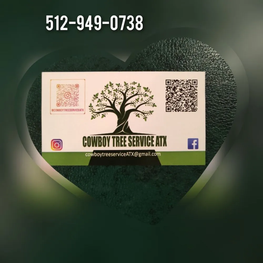 Expert landscape installation in Austin, TX - Cowboy Tree Service ATX