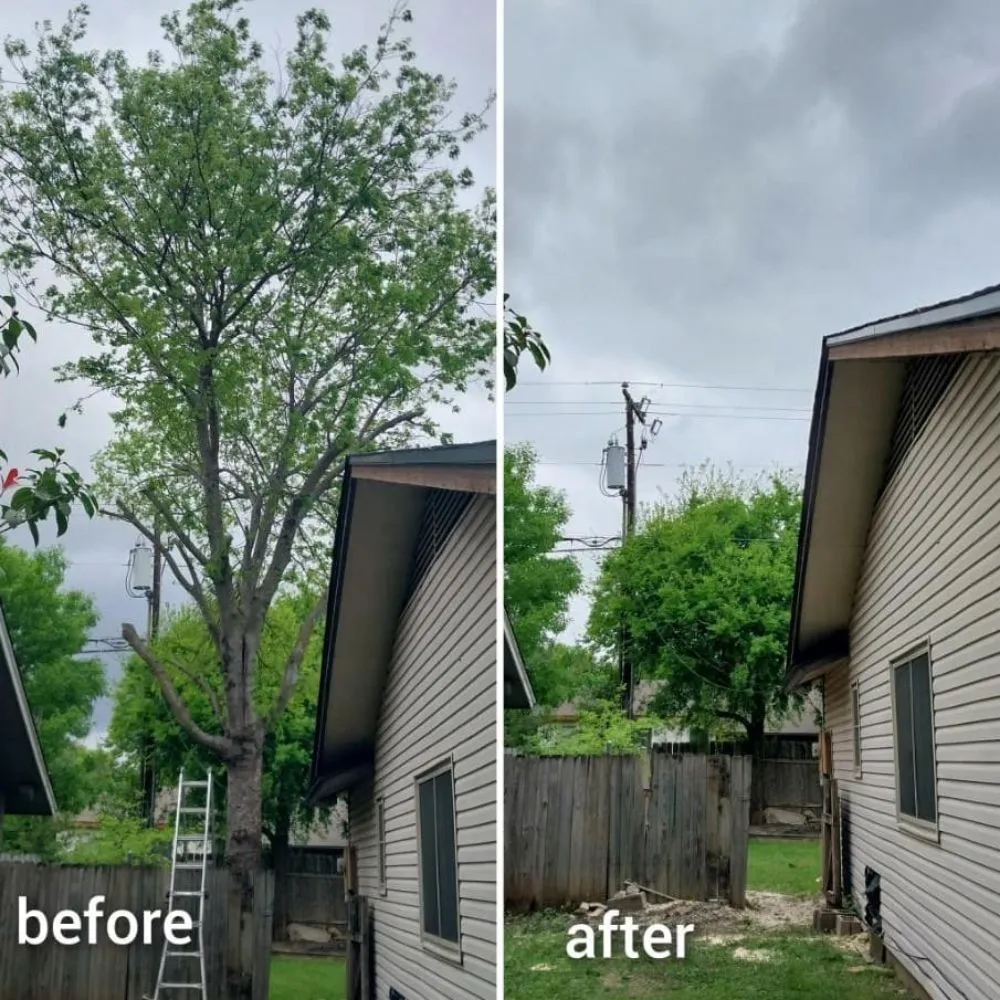 Custom yard cleanup service experts serving Austin, TX - Cowboy Tree Service ATX
