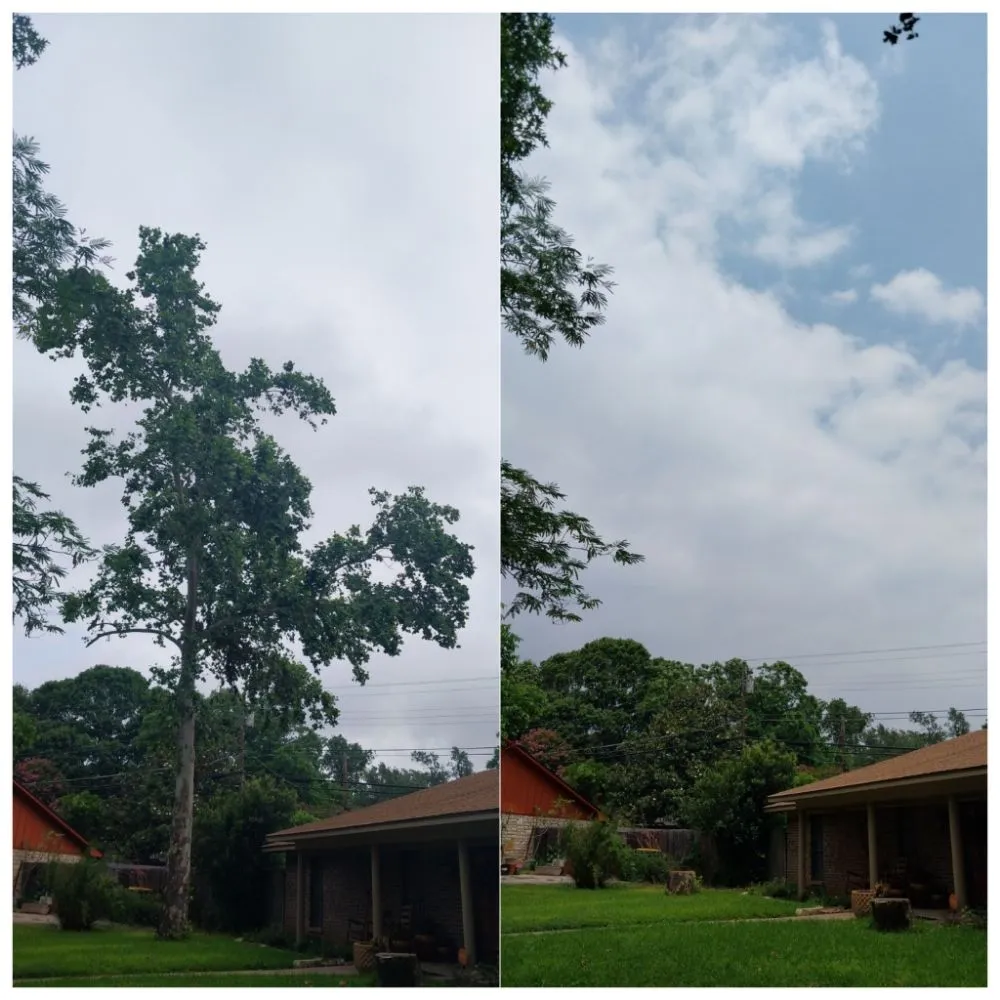 Professional outdoor landscaping for outdoor upgrades across Austin, TX - Cowboy Tree Service ATX