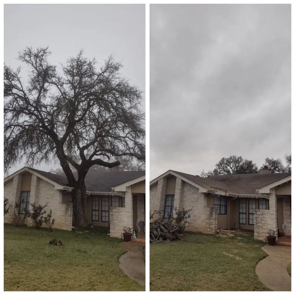 Local landscaping services with custom design in Austin, TX by Cowboy Tree Service ATX