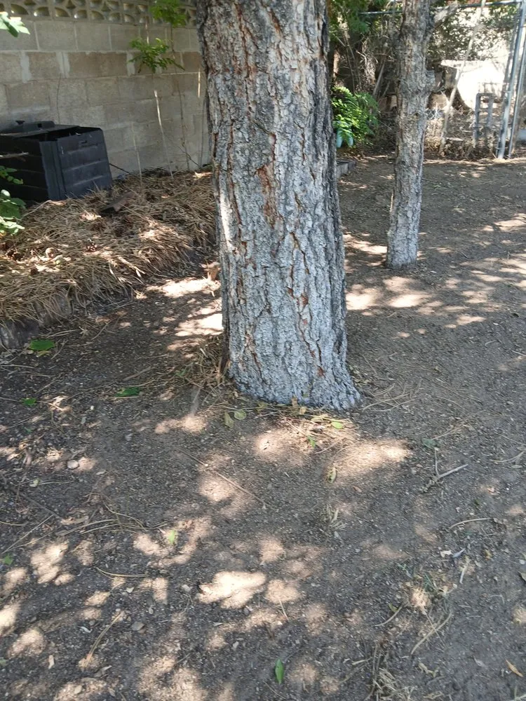 Expert garden landscaping experts serving Albuquerque, NM - Cowboy's Clean And Cut