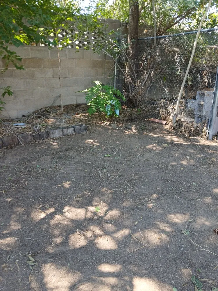 Custom yard cleanup service in Albuquerque, NM - Cowboy's Clean And Cut