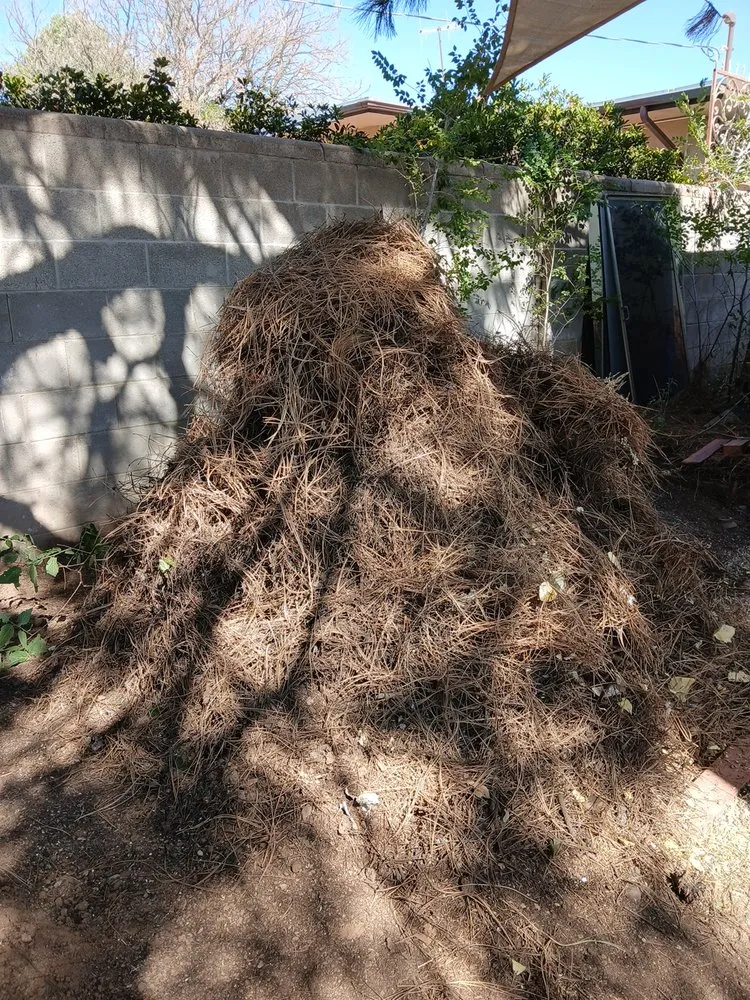 Reliable residential landscaping experts serving Albuquerque, NM - Cowboy's Clean And Cut