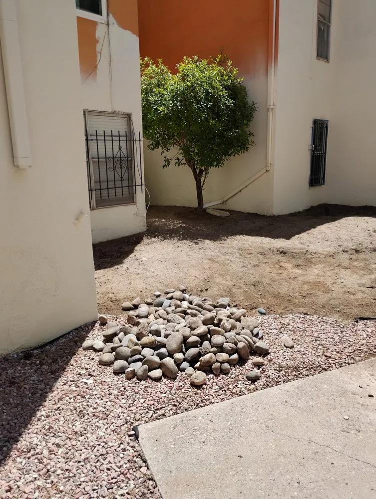 Custom yard cleanup service for year-round maintenance in Albuquerque, NM by Cowboy's Clean And Cut