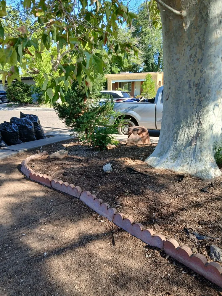 Trusted residential landscaping experts serving Albuquerque, NM - Cowboy's Clean And Cut