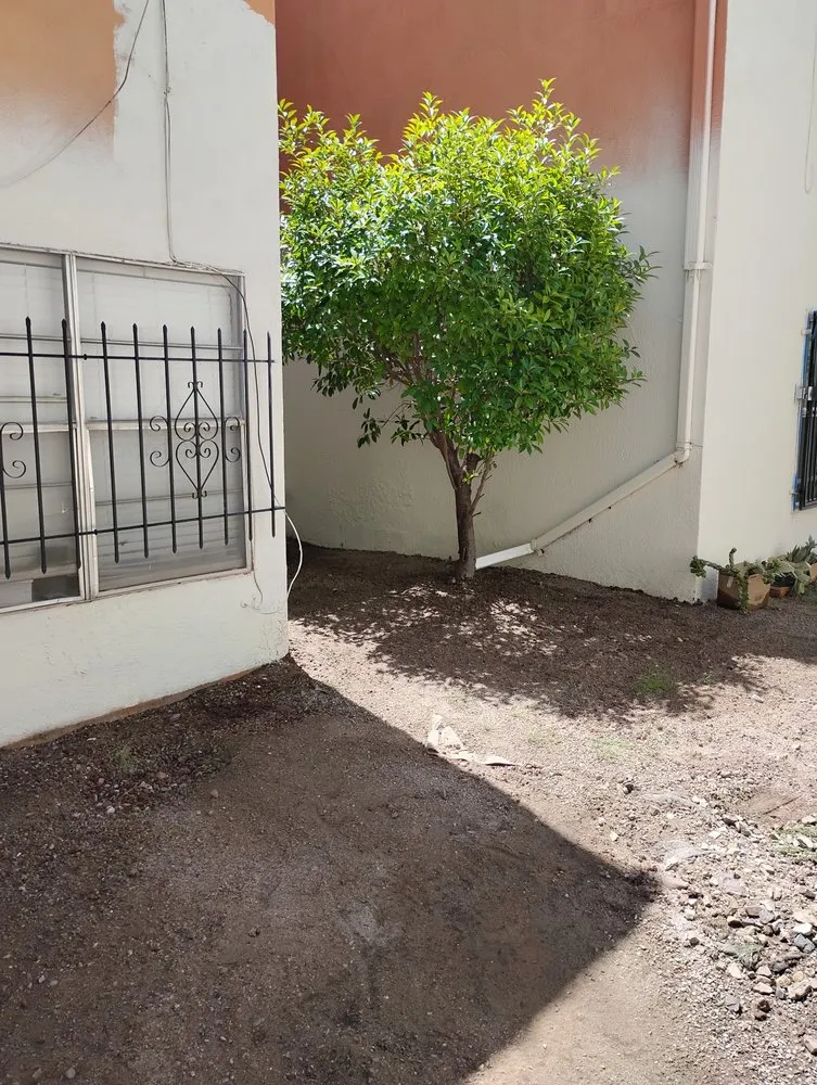 Professional lawn mowing service in Albuquerque, NM - Cowboy's Clean And Cut