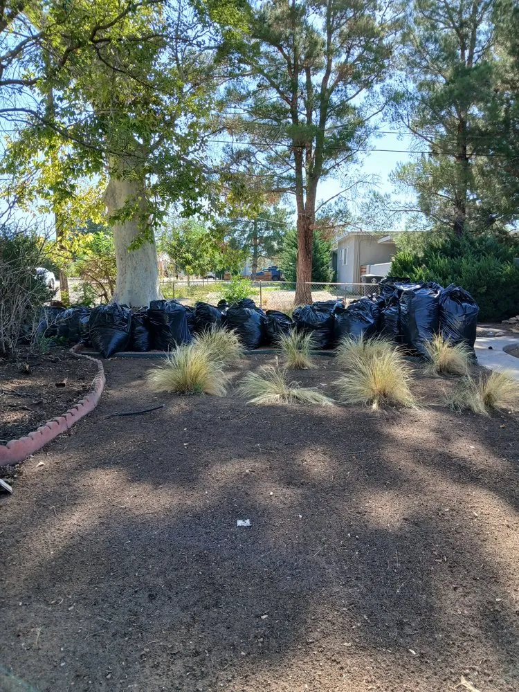 Professional yard maintenance for outdoor upgrades in Albuquerque, NM by Cowboy's Clean And Cut