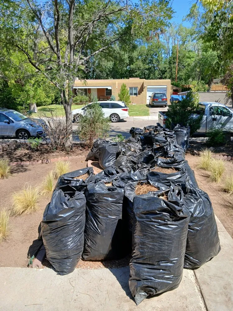 Custom outdoor landscaping in Albuquerque, NM by Cowboy's Clean And Cut