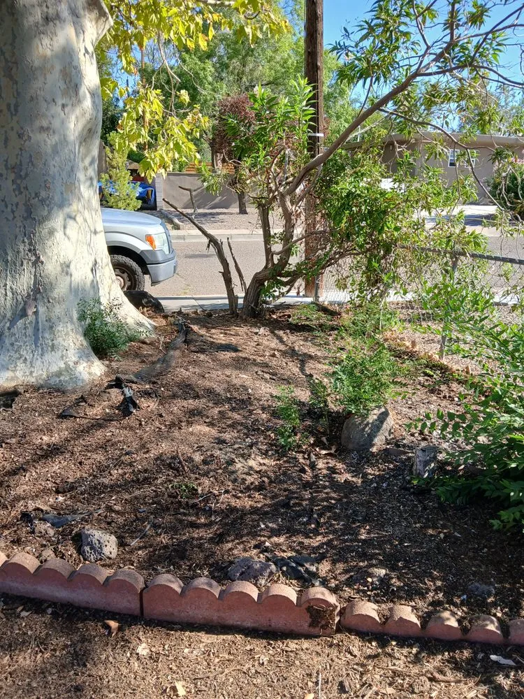 Top-rated lawn care service in Albuquerque, NM by Cowboy's Clean And Cut