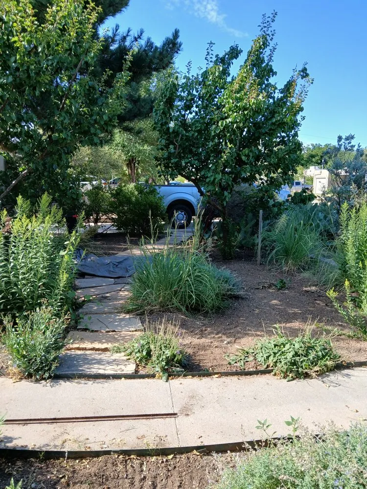Local residential landscaping in Albuquerque, NM - Cowboy's Clean And Cut