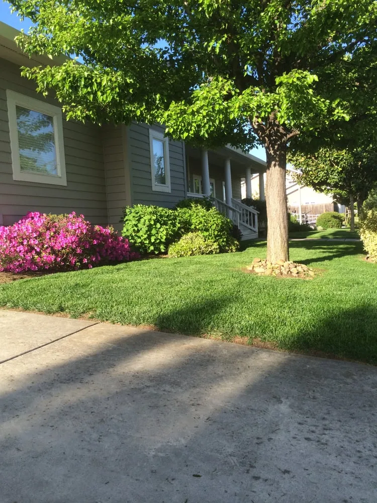 Expert yard maintenance near you in Napa, CA by Cowell & Company Landscape Management