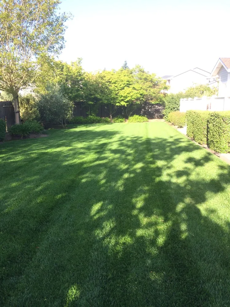 Affordable landscaping services in Napa, CA by Cowell & Company Landscape Management