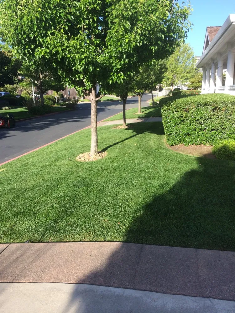 Expert garden landscaping experts serving Napa, CA - Cowell & Company Landscape Management