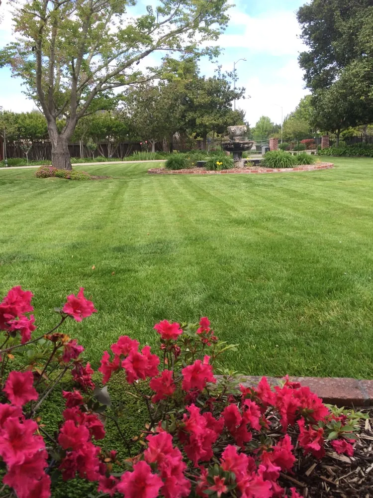 Professional landscaping services in Napa, CA - Cowell & Company Landscape Management