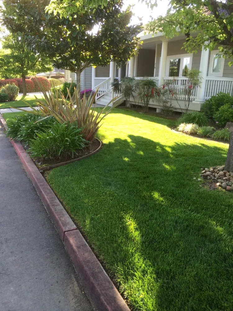 Top-rated yard cleanup service experts serving Napa, CA - Cowell & Company Landscape Management
