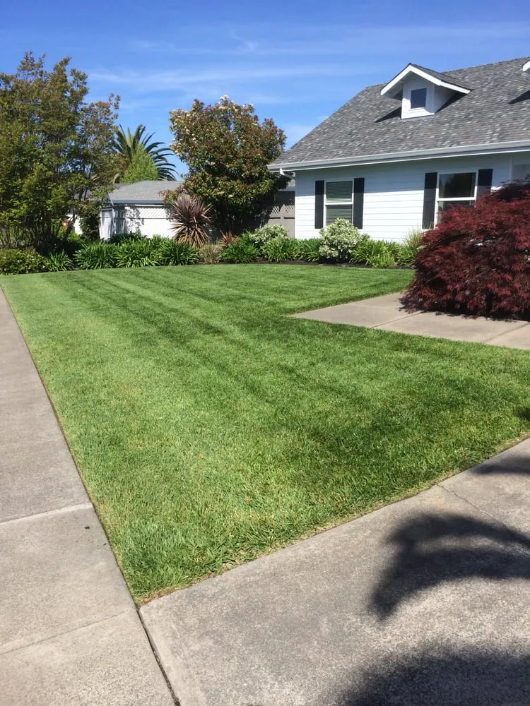 Local yard cleanup service in Napa, CA - Cowell & Company Landscape Management