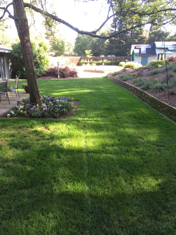 Trusted landscaping services experts serving Napa, CA - Cowell & Company Landscape Management