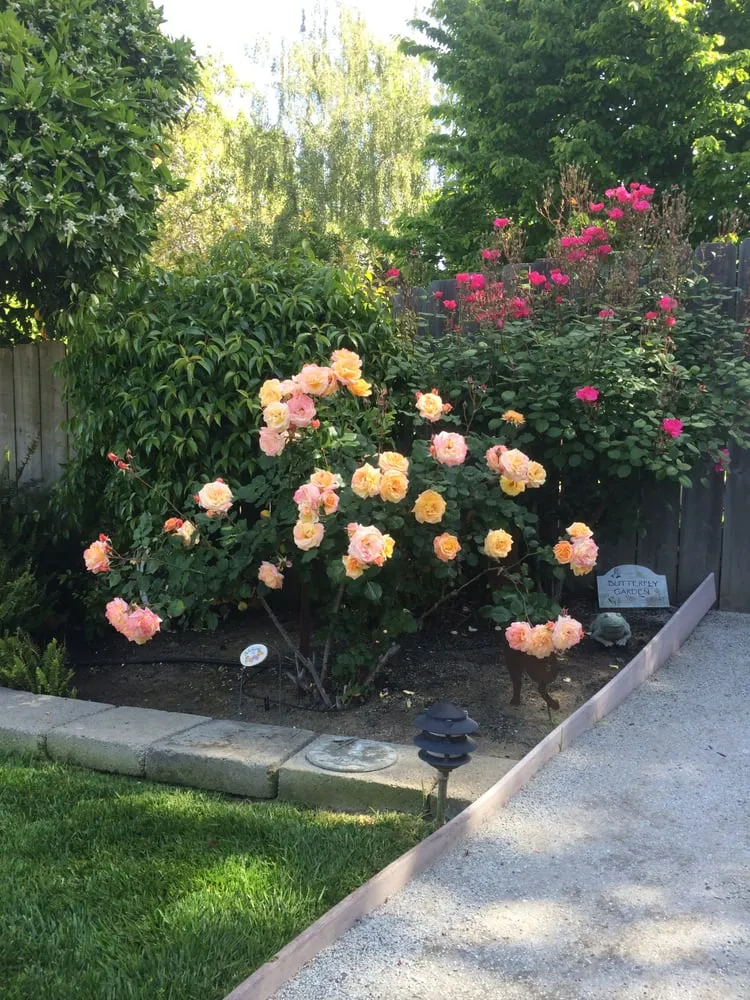 Reliable landscaping services for residential properties across Napa, CA - Cowell & Company Landscape Management