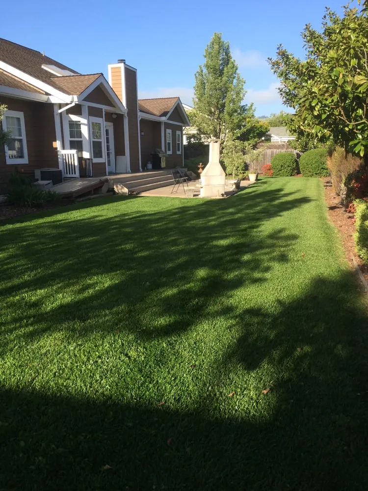 Local landscape design experts serving Napa, CA - Cowell & Company Landscape Management