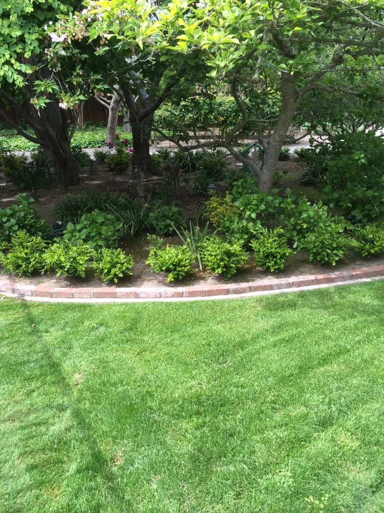 Custom lawn mowing service in Napa, CA by Cowell & Company Landscape Management