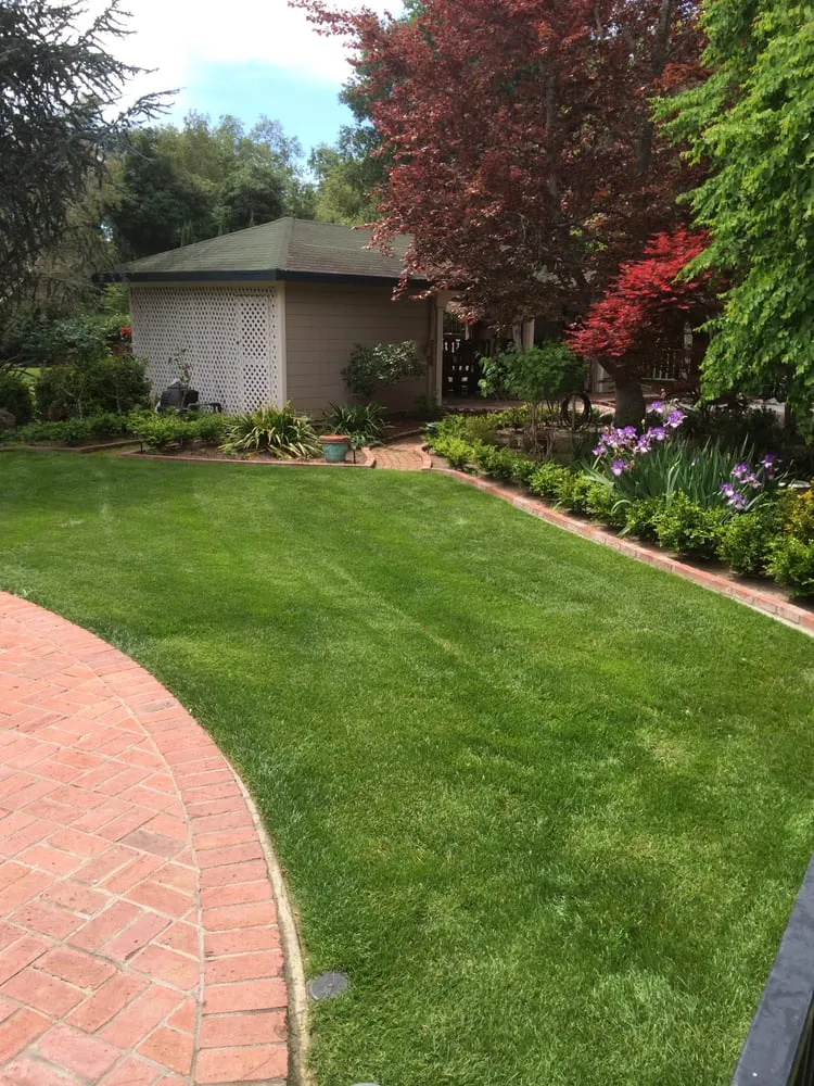 Top-rated landscape design experts serving Napa, CA - Cowell & Company Landscape Management