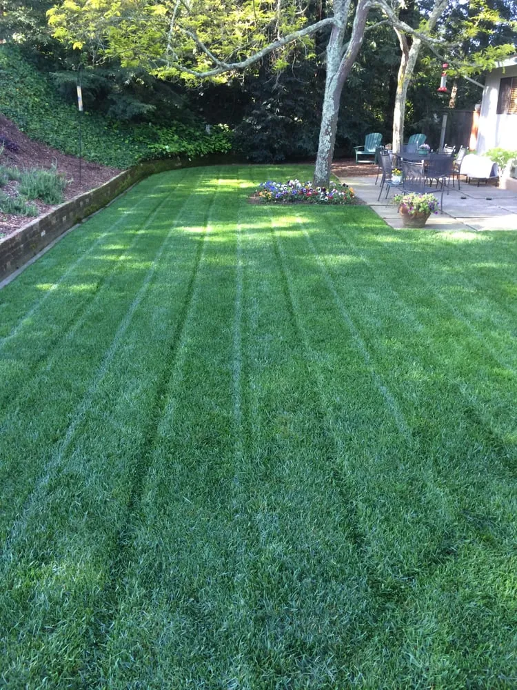 Trusted yard cleanup service experts serving Napa, CA - Cowell & Company Landscape Management