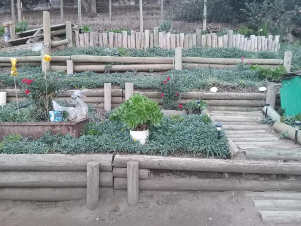 Reliable yard maintenance in Salinas, CA - Cowies Hauling & Landscaping