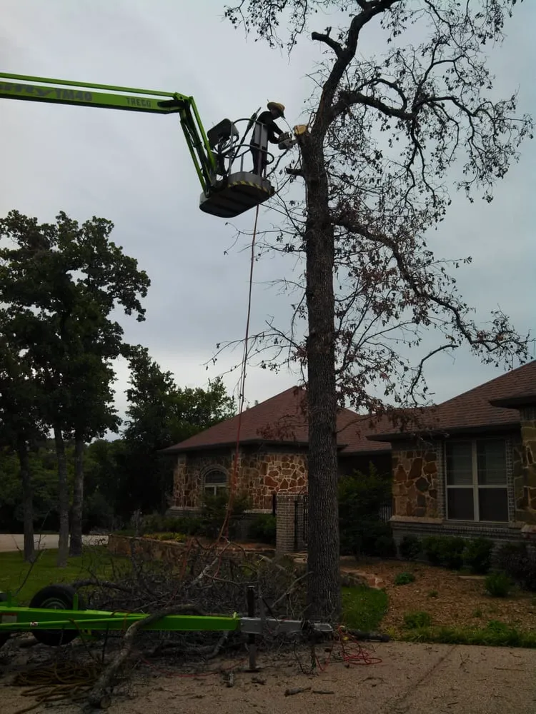 Custom outdoor landscaping experts serving Fort Worth, TX - Cowtown Tree & Land