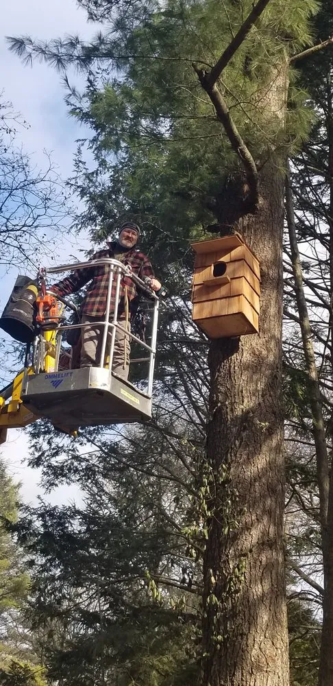 Local landscape design experts serving Penn Valley, PA - Cox & Company Inc Tree and Landscape Services