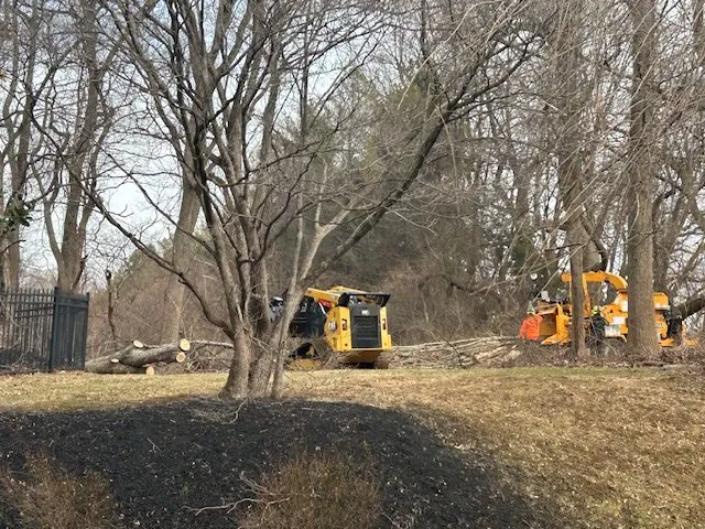 Expert yard cleanup service for residential properties across Penn Valley, PA - Cox & Company Inc Tree and Landscape Services