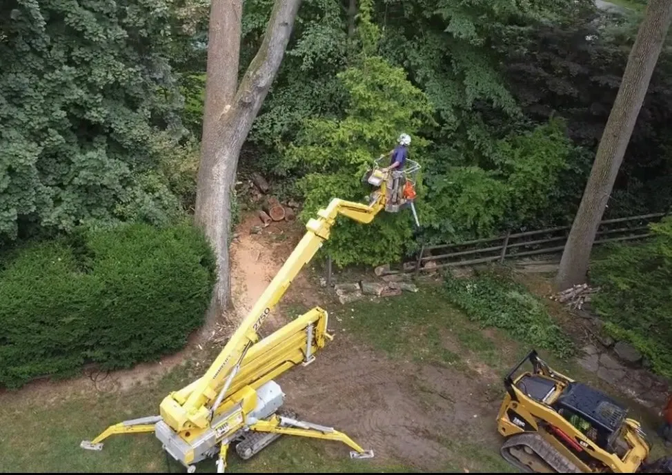 Top-rated landscaping services in Penn Valley, PA by Cox & Company Inc Tree and Landscape Services