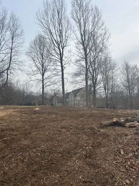 Expert landscape installation in Penn Valley, PA by Cox & Company Inc Tree and Landscape Services