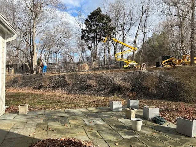 Top-rated landscaping services in Penn Valley, PA by Cox & Company Inc Tree and Landscape Services