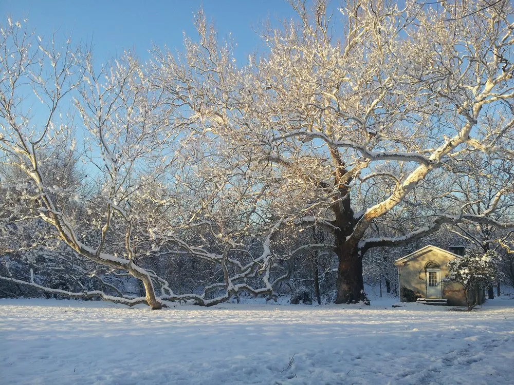 Local yard maintenance for year-round maintenance in Penn Valley, PA by Cox & Company Inc Tree and Landscape Services