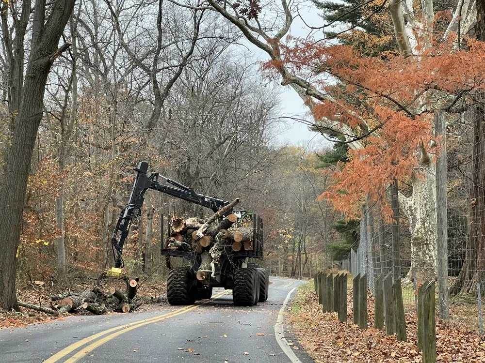 Expert yard cleanup service experts serving Penn Valley, PA - Cox & Company Inc Tree and Landscape Services
