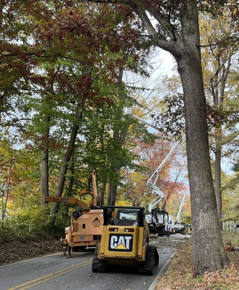 Reliable landscape installation for homes in Penn Valley, PA by Cox & Company Inc Tree and Landscape Services