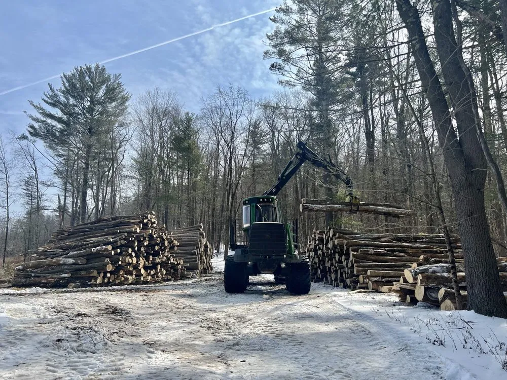Top-rated outdoor landscaping in Penn Valley, PA - Cox & Company Inc Tree and Landscape Services