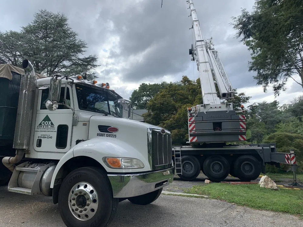 Expert yard cleanup service for homes across Penn Valley, PA - Cox & Company Inc Tree and Landscape Services