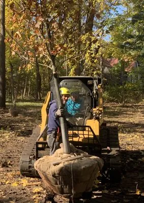 Cox & Company Inc Tree and Landscape Services