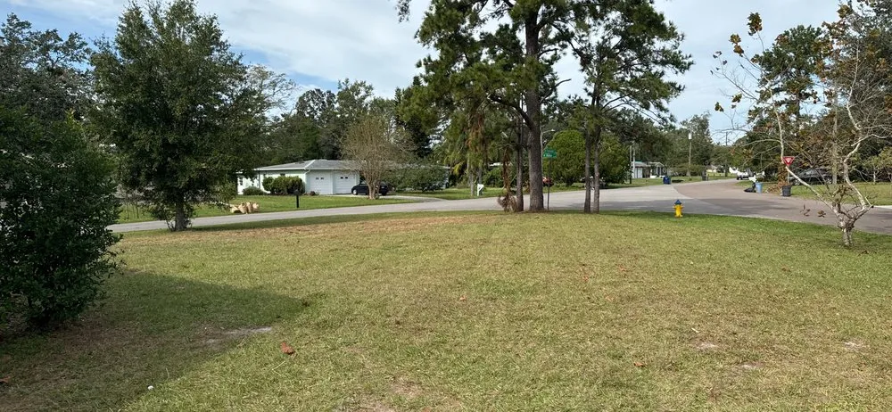 Trusted residential landscaping experts serving Zephyrhills, FL - Cox & Family Lawn Care